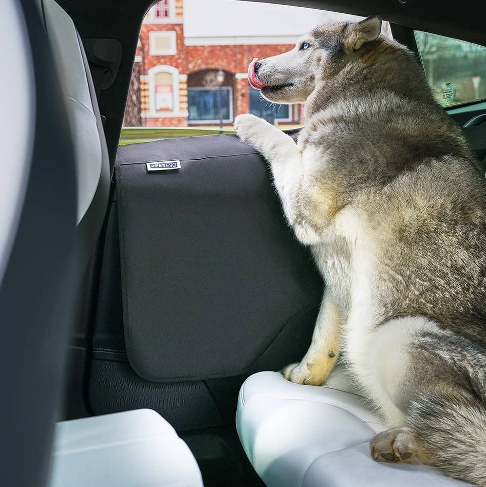 Generic 2x Car SUV Pet Stowing Tidying Pad Side Door Anti- @ Best