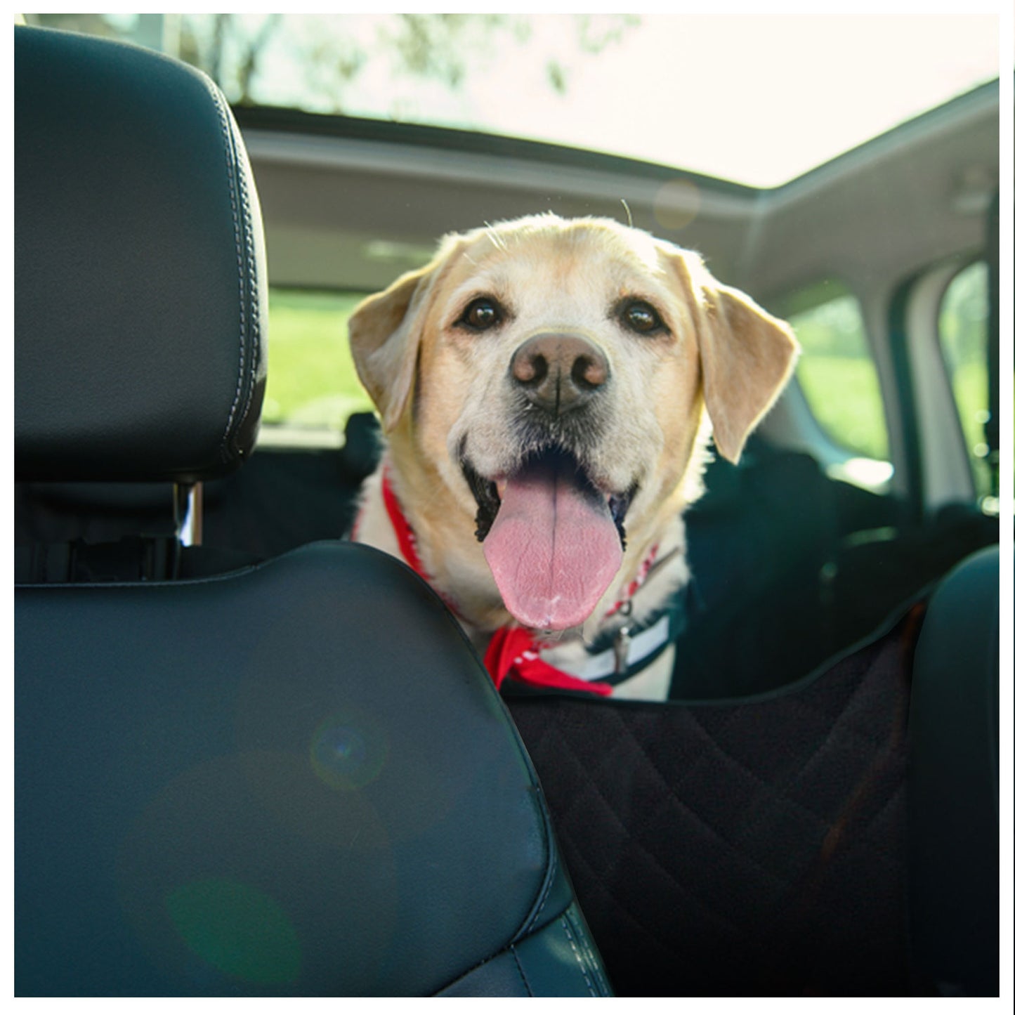 Back Car seat covers